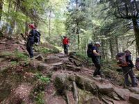le long de la savoureuse le long de la savoureuse